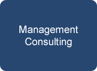 Management Consulting