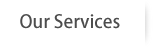 Lean Info Services Ltd. - Services
